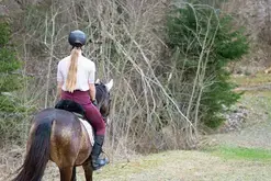 Balade à poney
