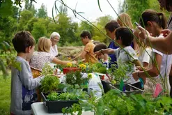 Jeune public : Visite sensorielle du jardin pour les tout petits (3-6 ans)