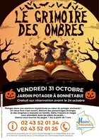 Le grimoire des ombres