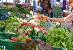 Marché de Laigné-Saint-Gervais - Jeudi matin