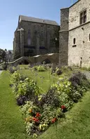 Cité Plantagenêt