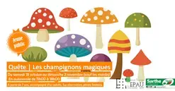 Quête jeune public : les champignons magiques