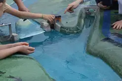 Atelier "La rivière à MoulinSart"