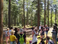 Balade famille " Fagus et les mystères de la forêt"