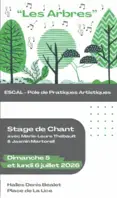 Stage de chant