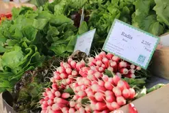 Marché le samedi matin à Noyen-sur-Sarthe