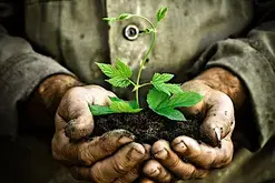 Concert-lecture "L'homme qui plantait des arbres" par la Cie L'arsenal d'Apparitions