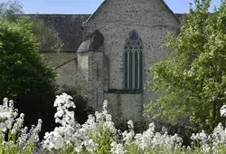 Jardins, ruches et verger conservatoire à l'Épau