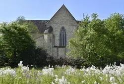 Jardins, ruches et verger conservatoire à l'Épau