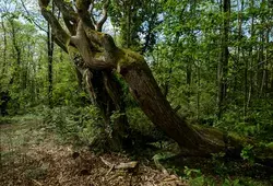 La Sarthe hors des sentiers battus