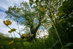 La Sarthe hors des sentiers battus