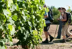 La Sarthe hors des sentiers battus