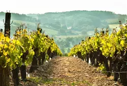 La Sarthe hors des sentiers battus