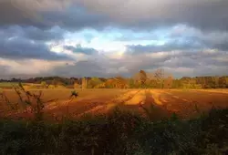 La Sarthe côté nature