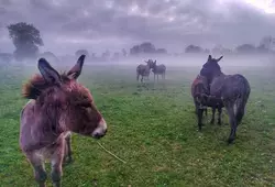 La Sarthe dans l'oeil des Instagramers #3
