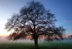 La Sarthe côté nature