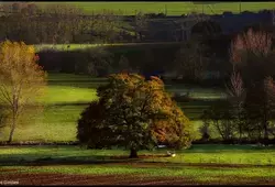 La Sarthe côté nature