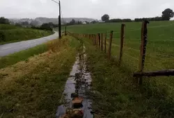 Résultat de plantation de haie