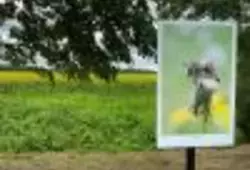 Saison photographique 2020_ Expos écluses