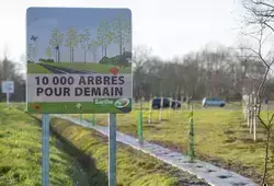 Opération 10 000 arbres