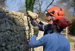 Soutenir l'insertion professionnelle