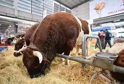 Salon de l’agriculture : les Sarthois à l’honneur !
