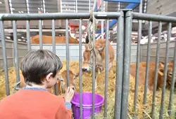 Salon de l’agriculture : les Sarthois à l’honneur !