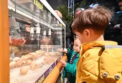 Salon de l’agriculture : les Sarthois à l’honneur !