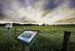 Investir dans le patrimoine vert du département