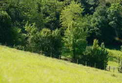 Signature et visite au Coteau des Buttes