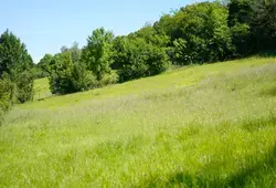 Signature et visite au Coteau des Buttes