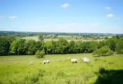 Signature et visite au Coteau des Buttes