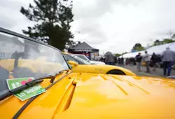 Arnage dans la course