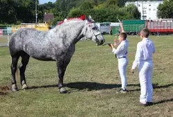 Comice de la Ferté-Bernard 2022