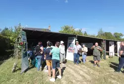 Jupilles