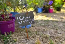 Aubigné Racan, Comice agricole 2022