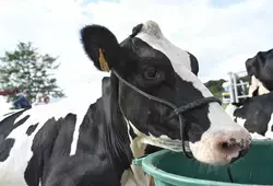 Aubigné Racan, Comice agricole 2022