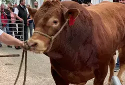 L'inauguration en images 