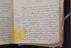 Fête des 20 ans aux archives départementales