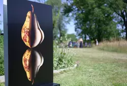 Saison photographique de l'abbaye royale de l'Épau
