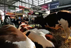 Le Département de la Sarthe en promotion au Salon de l'agriculture