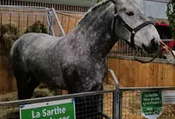 Le Département de la Sarthe en promotion au Salon de l'agriculture