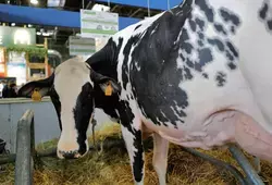 Le Département de la Sarthe en promotion au Salon de l'agriculture