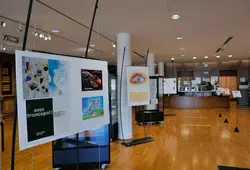 exposition Jac Loison