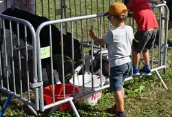 Comice de Vaas dans la Sarthe été 2023