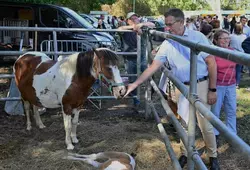 Comice de Vaas dans la Sarthe été 2023