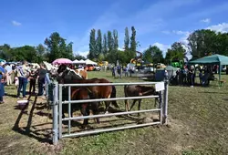 Comice de Vaas dans la Sarthe été 2023