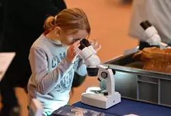 fête de la science