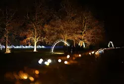 Voyage lumineux et sonore Abbaye Royale de l'Epau
