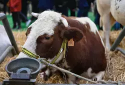 Salon International de l'Agriculture 2024
